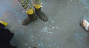 Shoes in the gallery