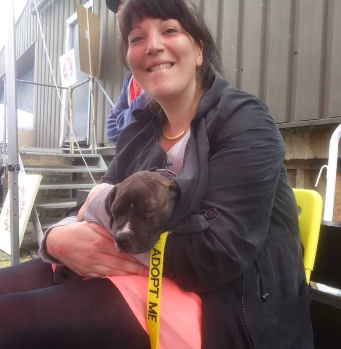 ALL DOGS MATTER with Cultivate at the Art Car Boot Fair