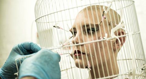 Amy Kingsmill - 'Bloom'