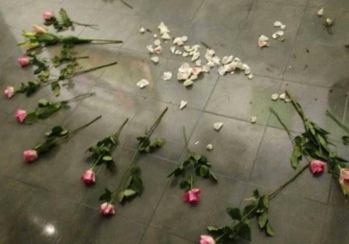 CULTIVATE: Debased - Amy Kingsmill