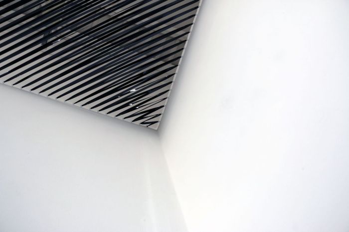 VictoriaMcDermott_To_Ceil2016_(1)